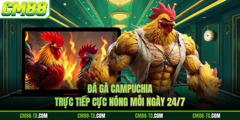 Đá Gà Campuchia - Trực Tiếp Cực Nóng Mỗi Ngày 24/7