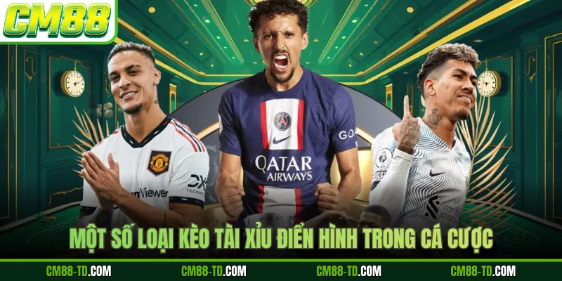 Một Số Loại Kèo Tài Xỉu Điển Hình Trong Cá Cược