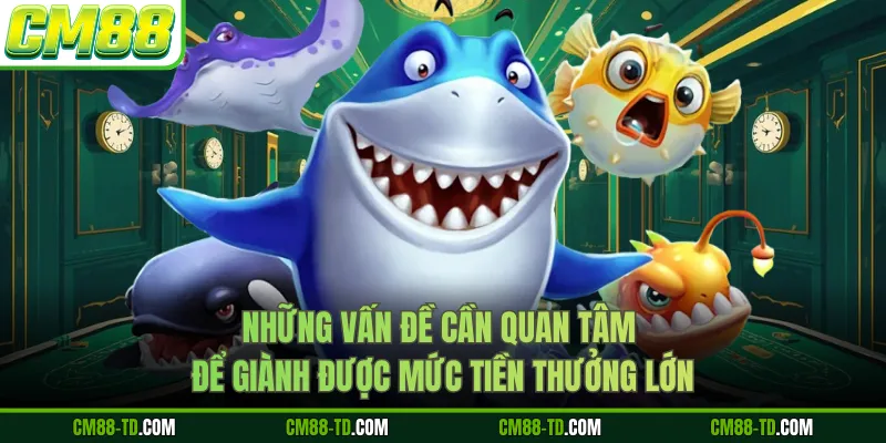 Những Vấn Đề Cần Quan Tâm Để Giành Được Mức Tiền Thưởng Lớn