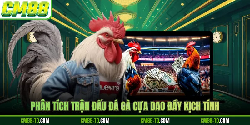 Phân Tích Trận Đấu Đá Gà Cựa Dao Đầy Kịch Tính