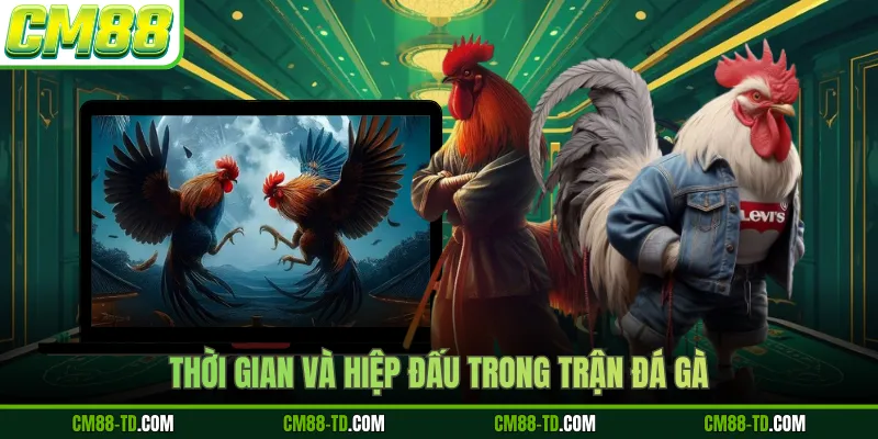 Thời Gian Và Hiệp Đấu Trong Trận Đá Gà